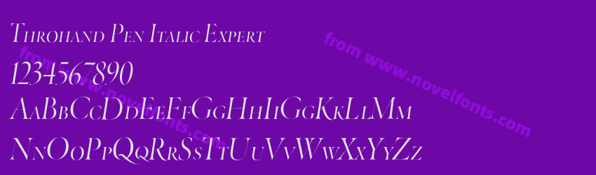 Throhand Pen Italic ExpertPreview