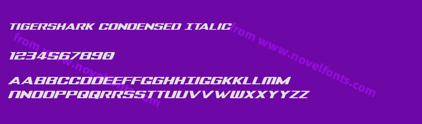 Tigershark Condensed ItalicPreview