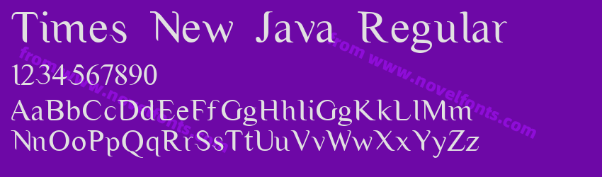 Times New Java RegularPreview