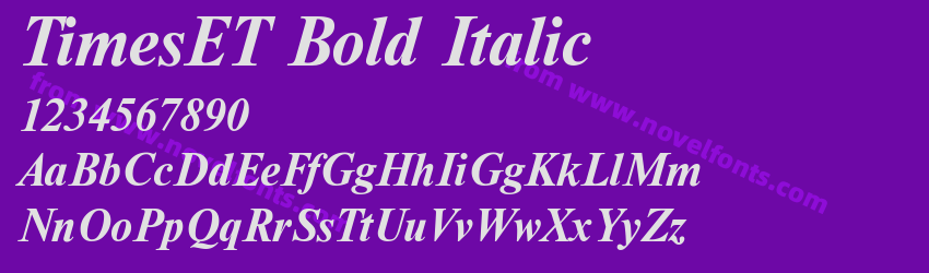 TimesET Bold ItalicPreview