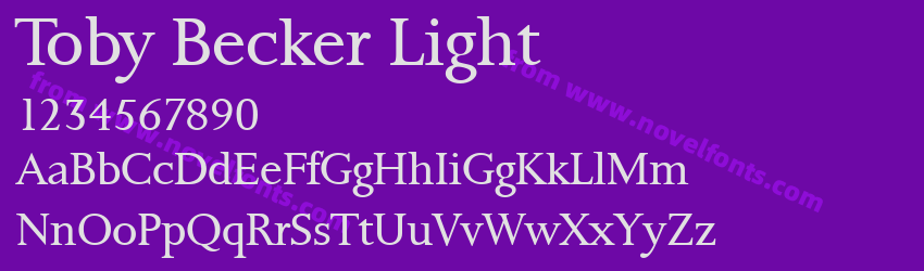 Toby Becker LightPreview