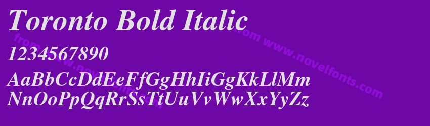 Toronto Bold ItalicPreview