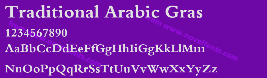 Traditional Arabic GrasPreview