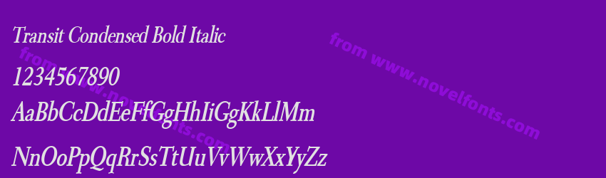 Transit Condensed Bold ItalicPreview