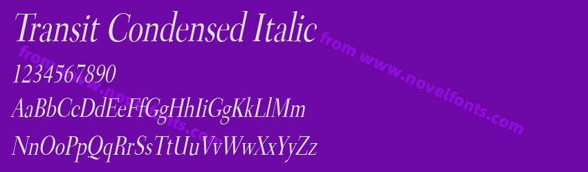 Transit Condensed ItalicPreview