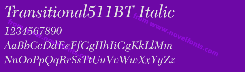 Transitional511BT ItalicPreview