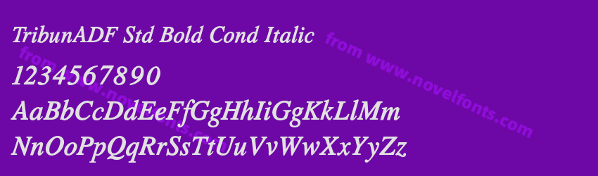 TribunADF Std Bold Cond ItalicPreview