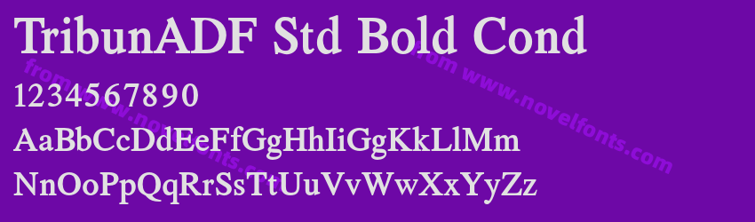 TribunADF Std Bold CondPreview