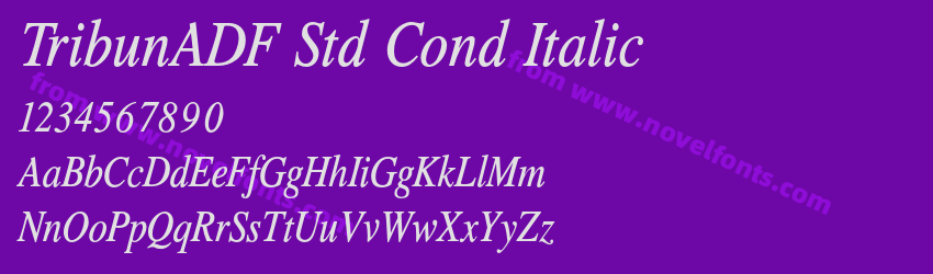 TribunADF Std Cond ItalicPreview