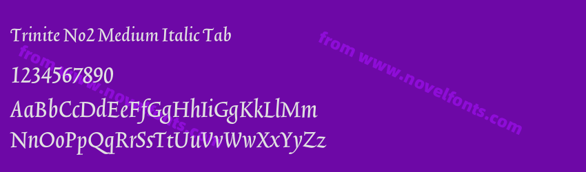 Trinite No2 Medium Italic TabPreview