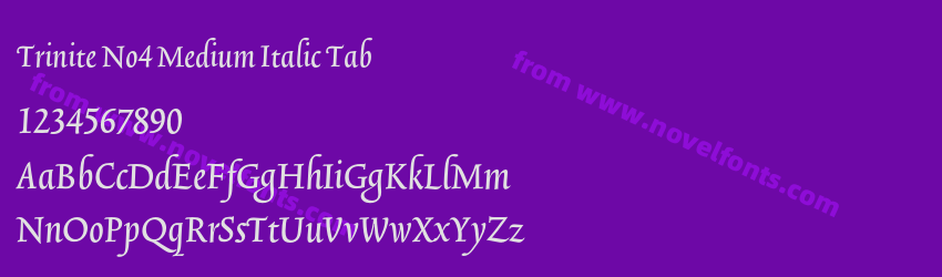 Trinite No4 Medium Italic TabPreview