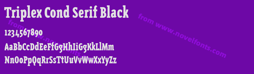 Triplex Cond Serif BlackPreview