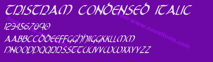 Tristram Condensed ItalicPreview