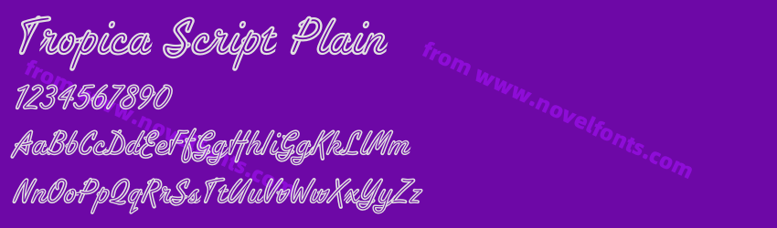 Tropica Script PlainPreview