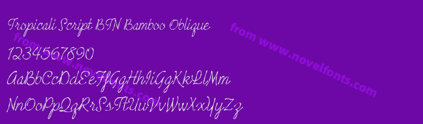 Tropicali Script BTN Bamboo ObliquePreview