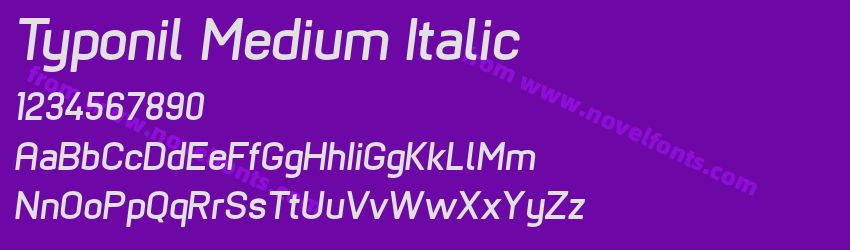 Typonil Medium ItalicPreview