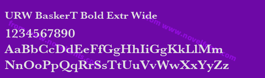 URW BaskerT Bold Extr WidePreview