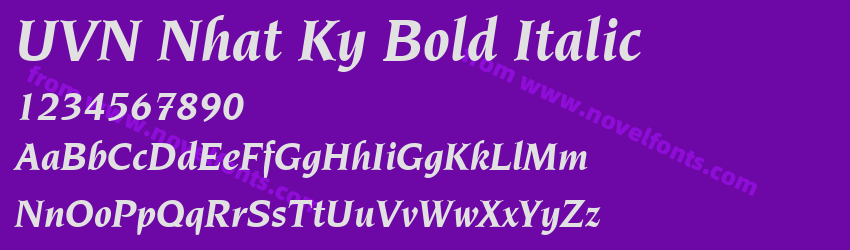 UVN Nhat Ky Bold ItalicPreview