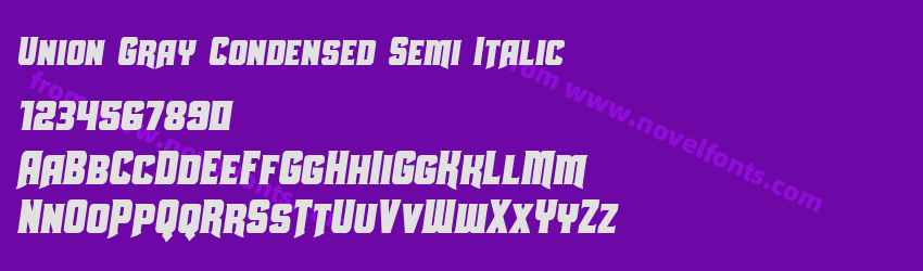 Union Gray Condensed Semi ItalicPreview