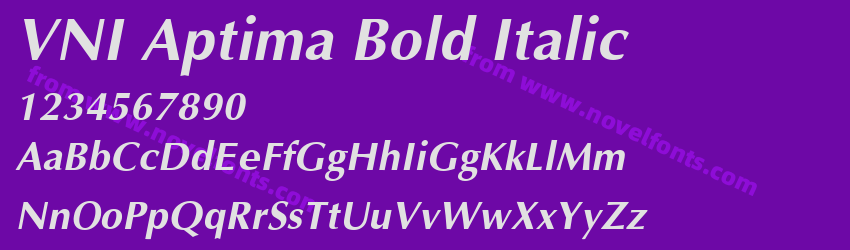 VNI Aptima Bold ItalicPreview