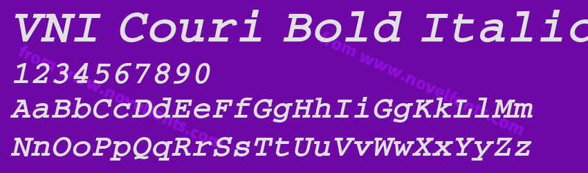 VNI Couri Bold ItalicPreview