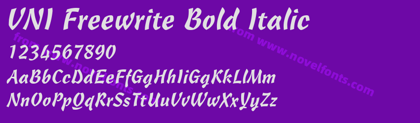 VNI Freewrite Bold ItalicPreview