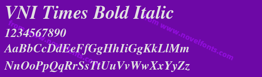 VNI Times Bold ItalicPreview