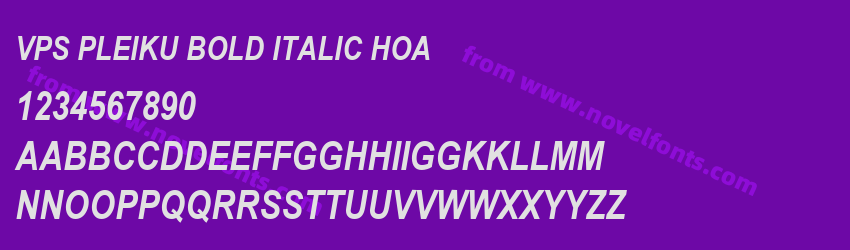 VPS Pleiku Bold Italic HoaPreview