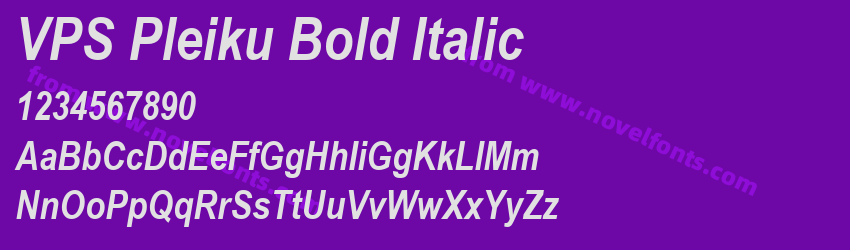 VPS Pleiku Bold ItalicPreview