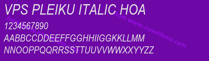 VPS Pleiku Italic HoaPreview