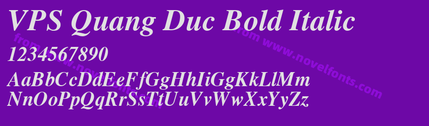 VPS Quang Duc Bold ItalicPreview