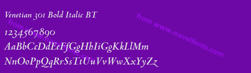 Venetian 301 Bold Italic BTPreview