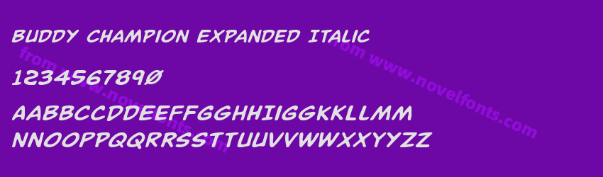 Buddy Champion Expanded ItalicPreview