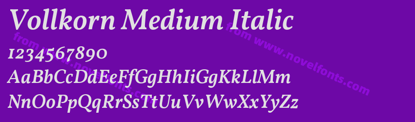 Vollkorn Medium ItalicPreview