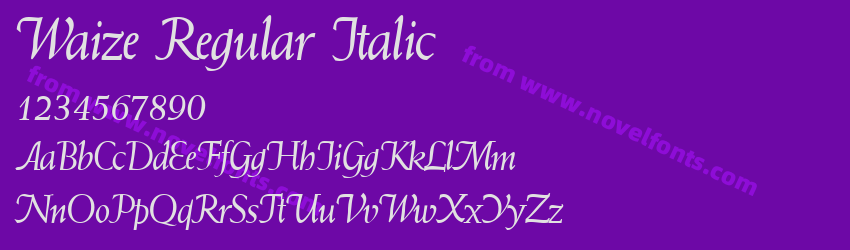 Waize Regular ItalicPreview