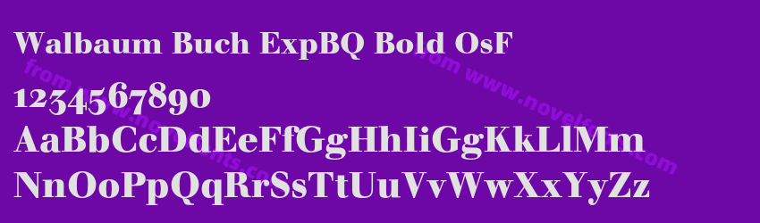 Walbaum Buch ExpBQ Bold OsFPreview