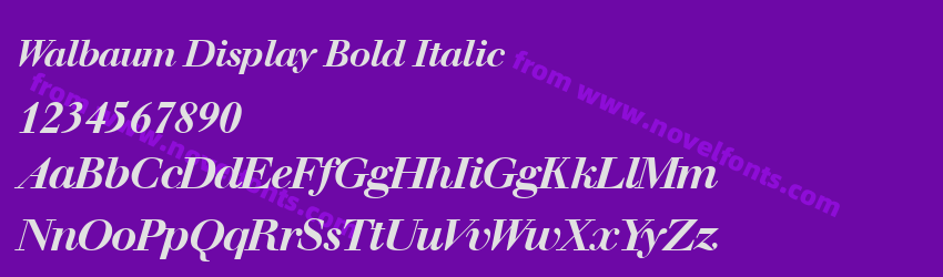 Walbaum Display Bold ItalicPreview