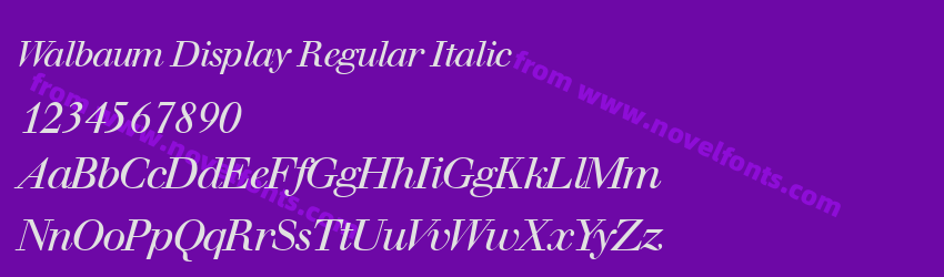 Walbaum Display Regular ItalicPreview