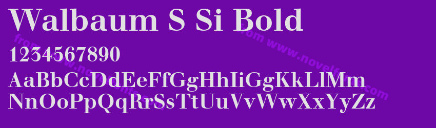 Walbaum S Si BoldPreview