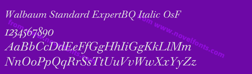 Walbaum Standard ExpertBQ Italic OsFPreview