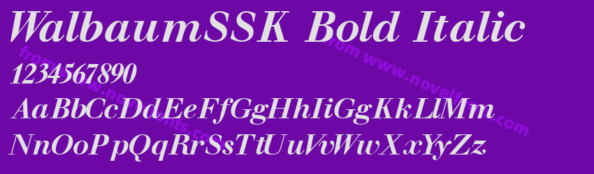 WalbaumSSK Bold ItalicPreview