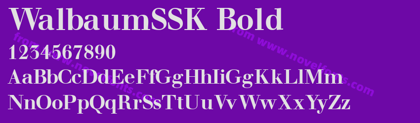 WalbaumSSK BoldPreview