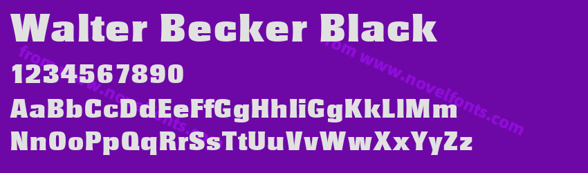 Walter Becker BlackPreview