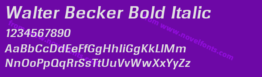 Walter Becker Bold ItalicPreview