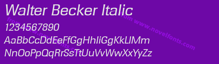 Walter Becker ItalicPreview