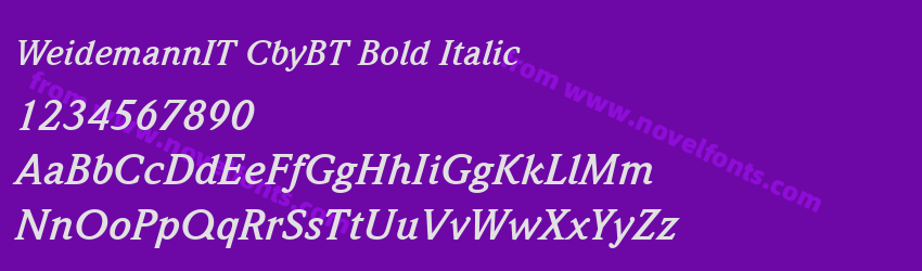 WeidemannIT CbyBT Bold ItalicPreview