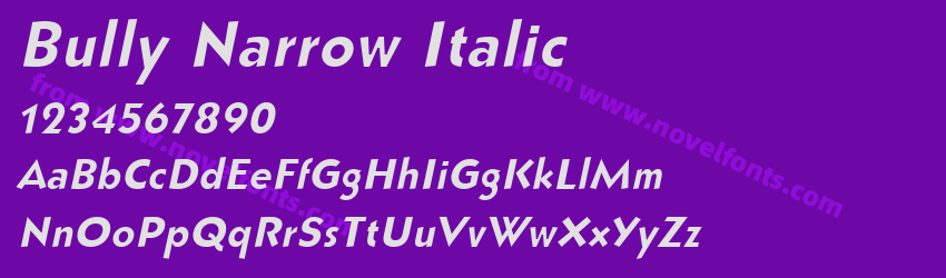 Bully Narrow ItalicPreview