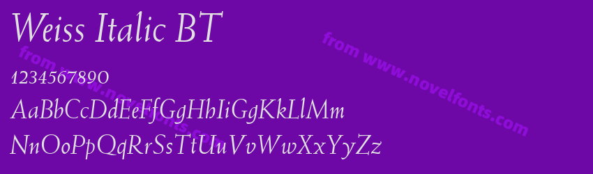 Weiss Italic BTPreview