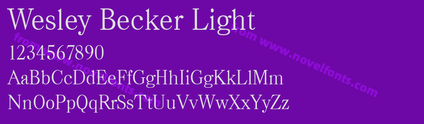 Wesley Becker LightPreview