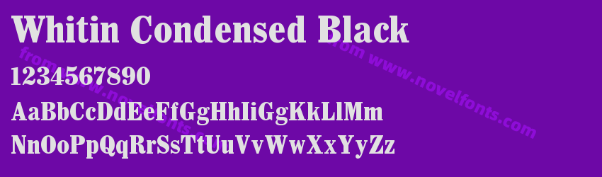 Whitin Condensed BlackPreview